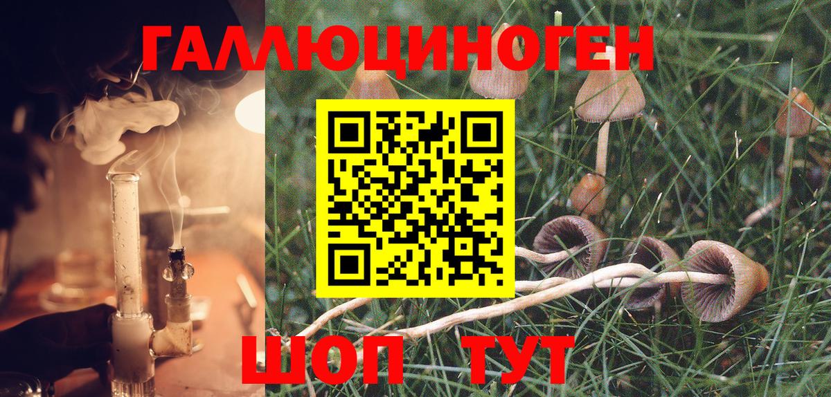 Псилоцибиновые грибы MAGIC MUSHROOMS  купить наркотик  Вход с VPN  Смоленск  Псилоцибиновые грибы Psilocybe 