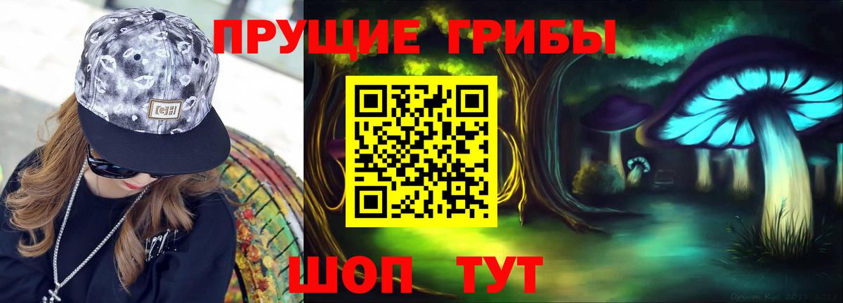 Галлюциногенные грибы прущие грибы Смоленск